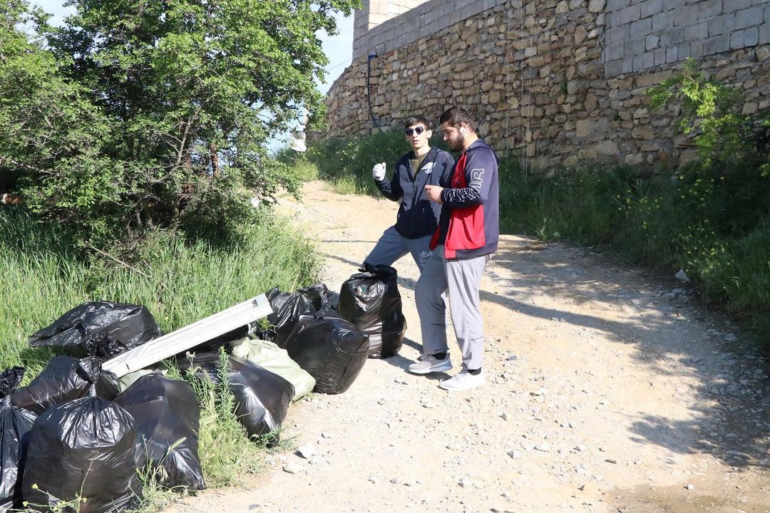 "Чистые игры"