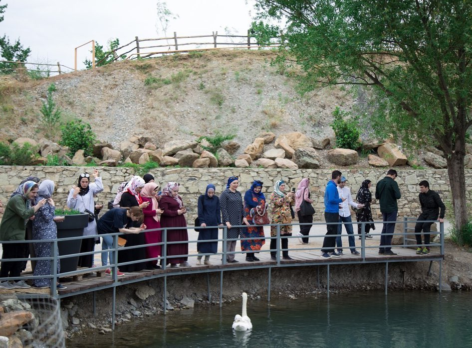 День отдыха с ГКБ №3