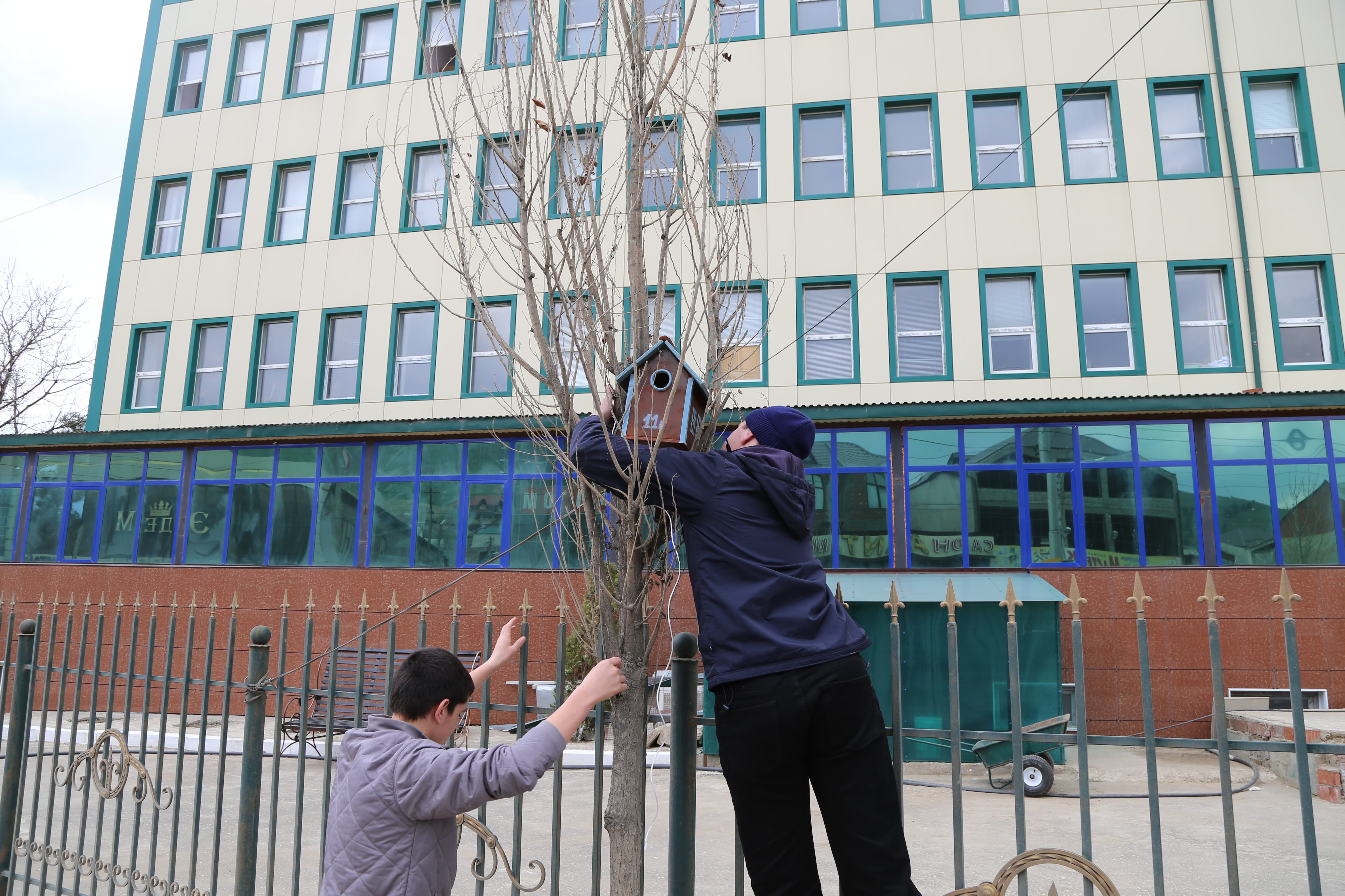 Студенты медицинского колледжа имени Башларова развесили скворечники, сделанные ко дню птиц Студенты медицинского колледжа имени Башларова развесили скворечники, сделанные ко дню птиц