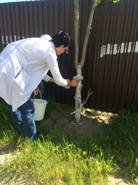 Работники и студенты Медицинского колледжа имени Башларова приняли участие в общероссийском субботнике Работники и студенты Медицинского колледжа имени Башларова приняли участие в общероссийском субботнике