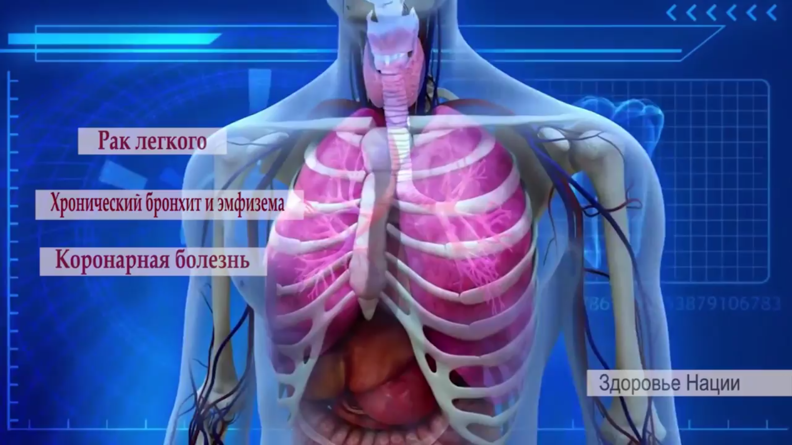 19 ноября - международный день отказа от курения 
