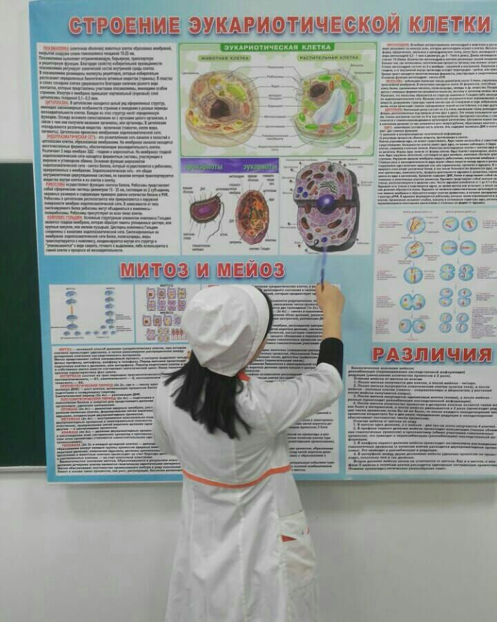 Наука - Генетика