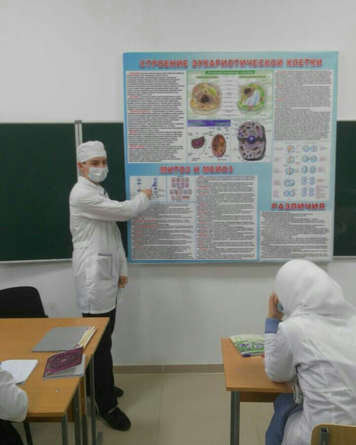 Наука - Генетика