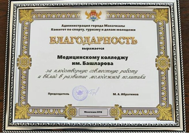 Вклад в развитие молодежной политики