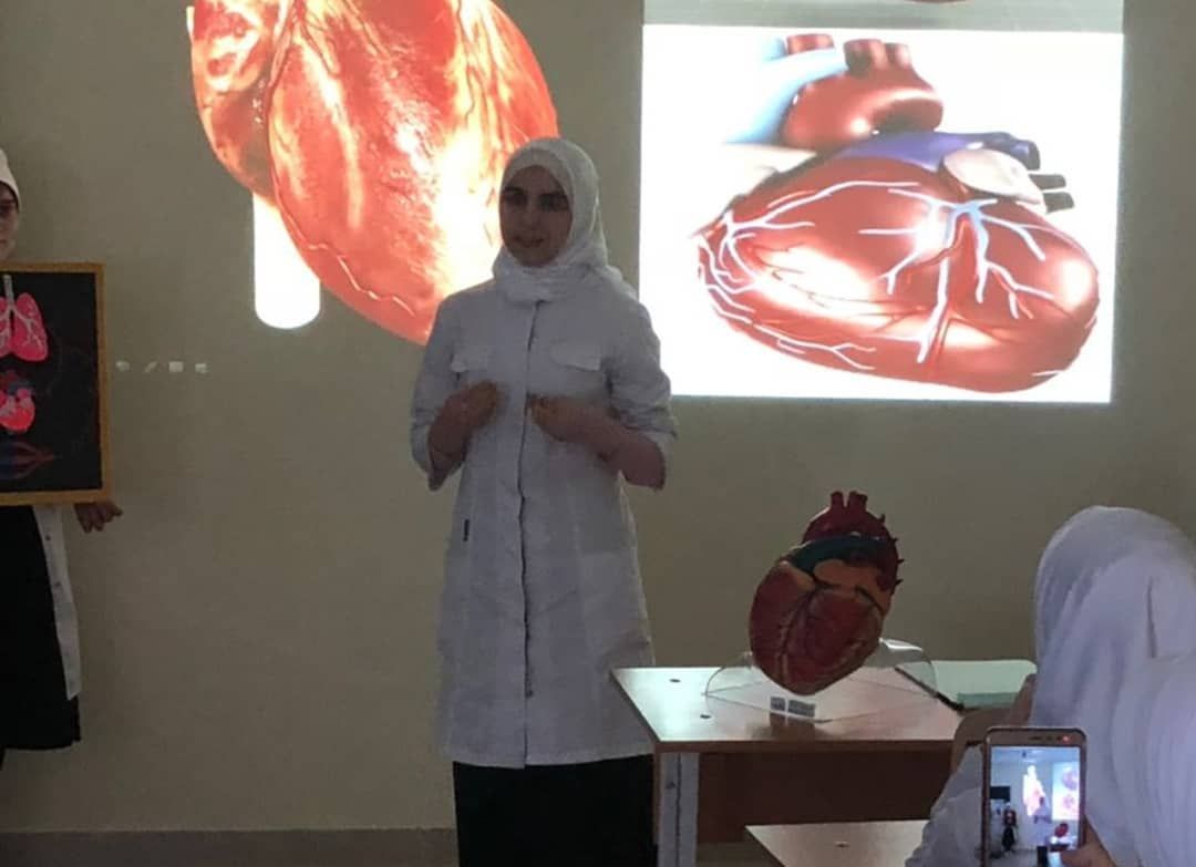 Олимпиада по анатомии