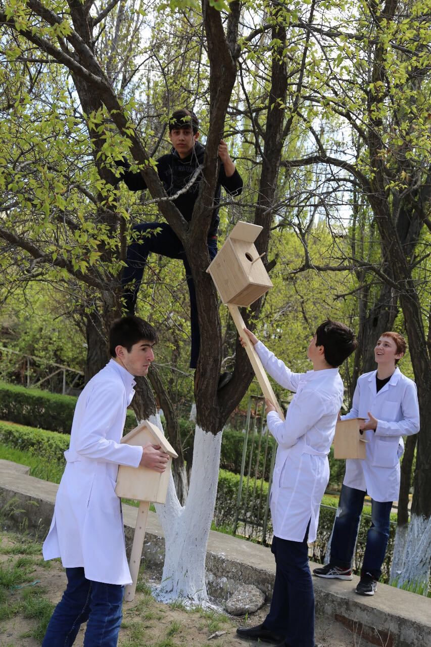 Помощь братьям нашим меньшим