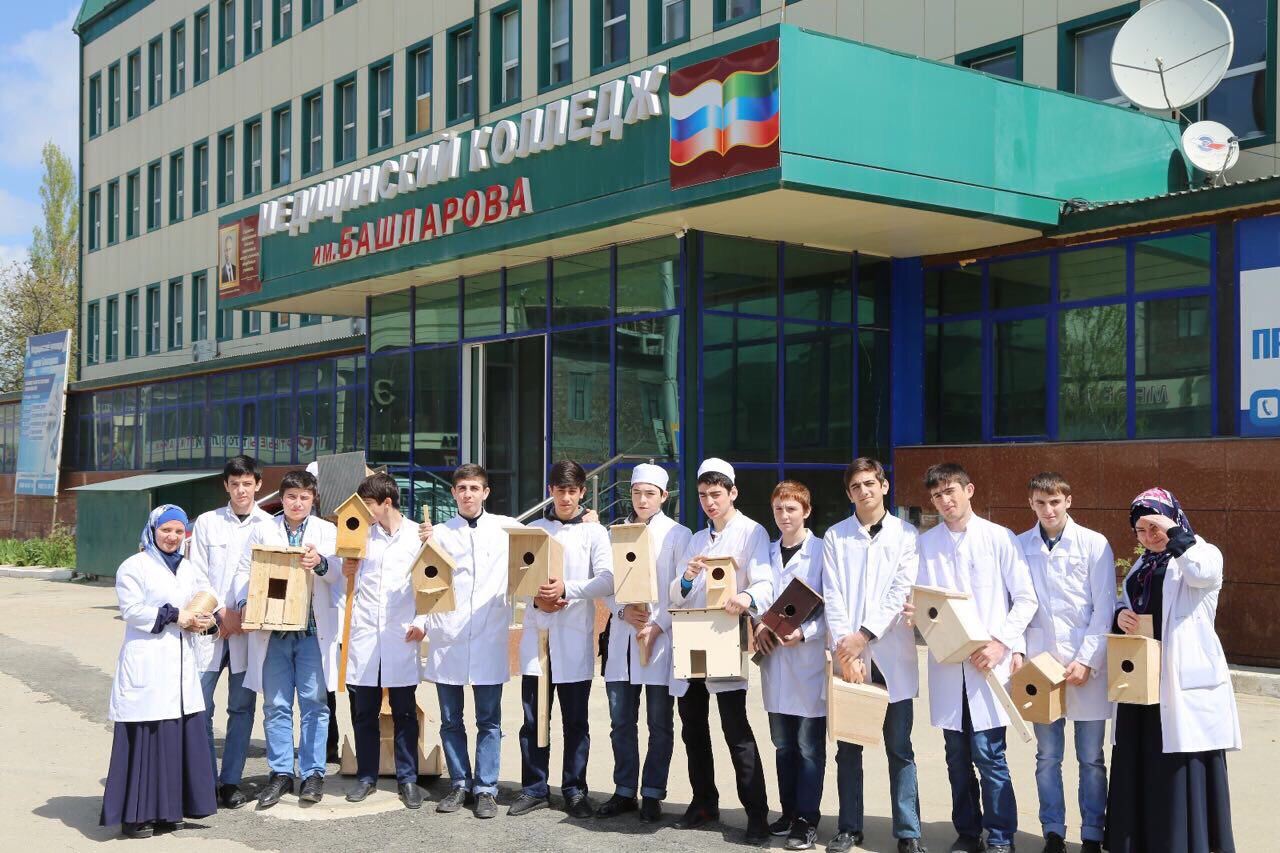 Помощь братьям нашим меньшим