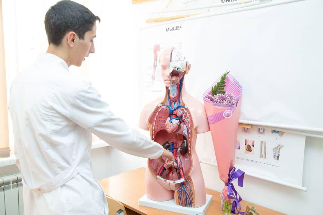 Студенты сдали экзамен по анатомии