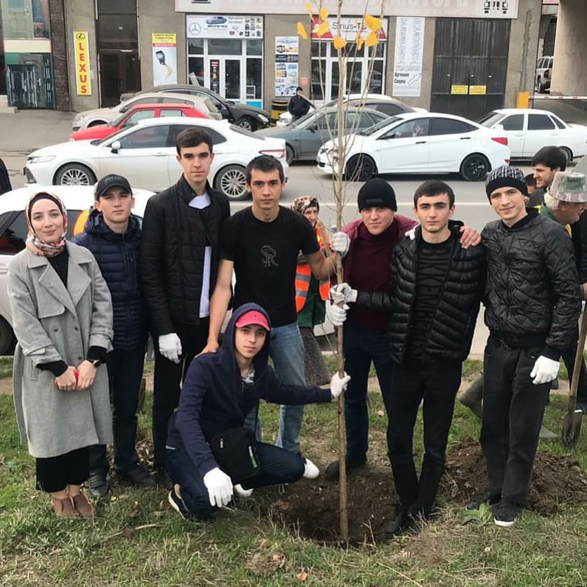 Посадка деревьев