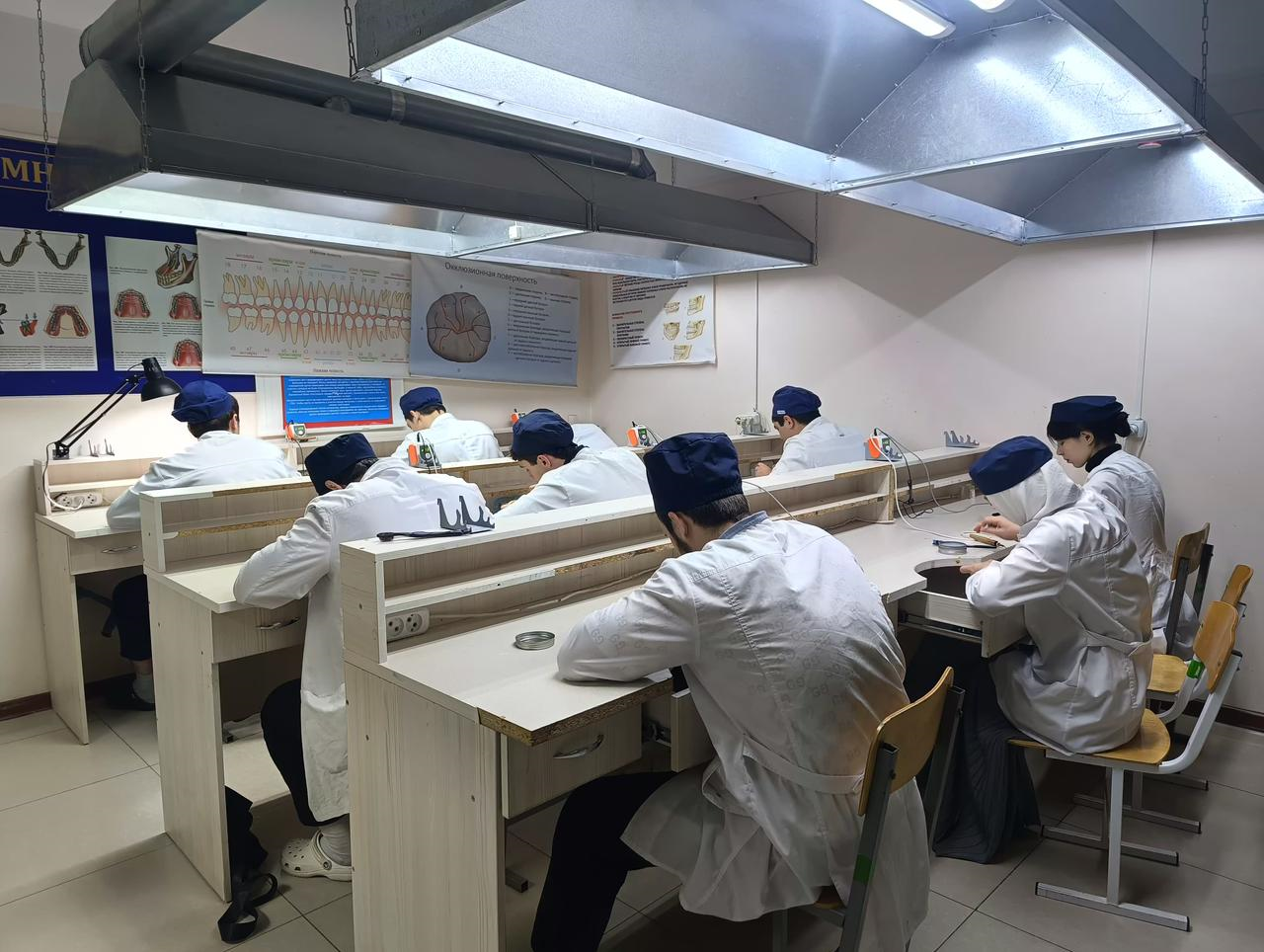 Профессионалы