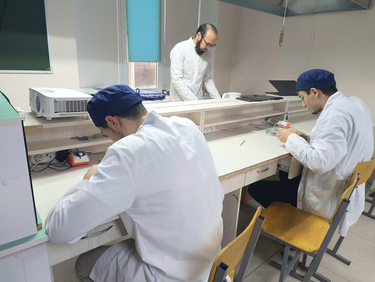 Профессионалы