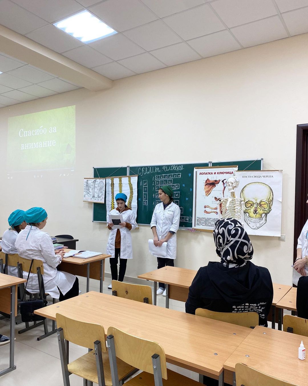 «Скелет человека» «Скелет человека»