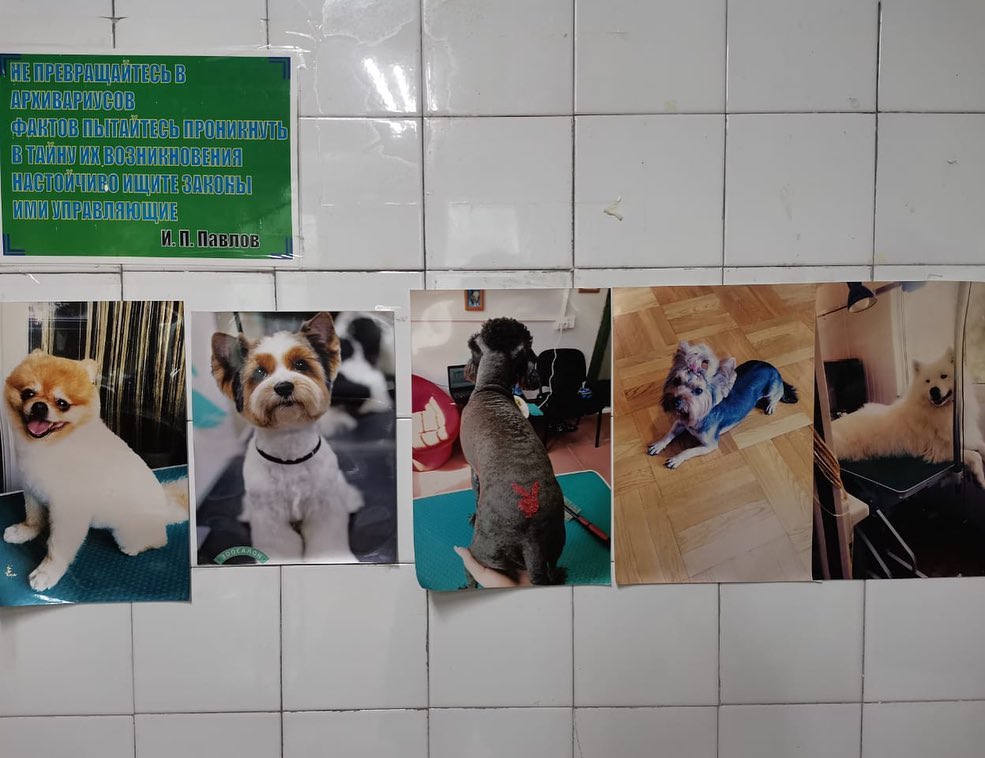 Ветеринарная станция